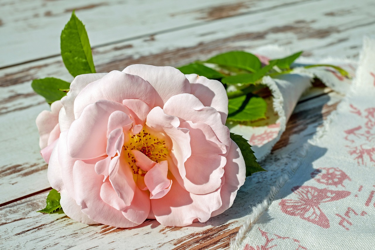 Bulgaria's Rose Festival - A Fragrant Tradition